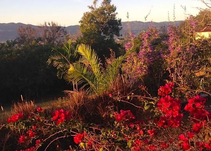 Sisubnbjamaica Bed and breakfast Montego Bay
