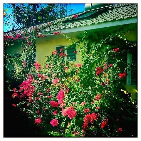 Sisubnbjamaica Bed and breakfast