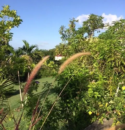 Sisubnbjamaica Montego Bay