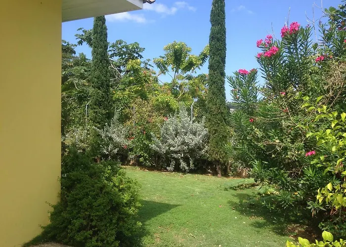 Sisubnbjamaica *