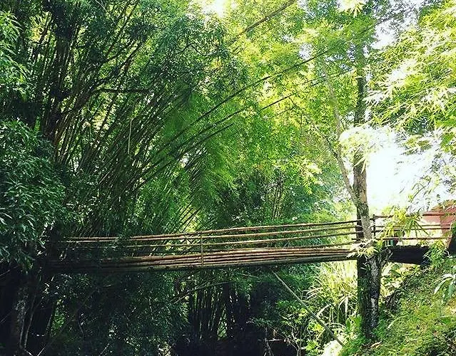 Sisubnbjamaica *